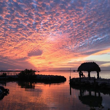 Amoray Dive Resort Key Largo Exterior photo